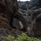 Elefantenrüssel in der Masca-Schlucht