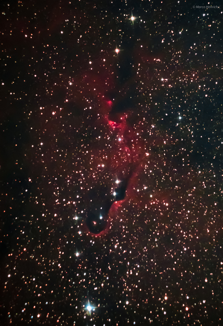 Elefantenrüssel-Nebel (IC1396A)