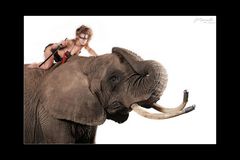Elefantenshooting (4)