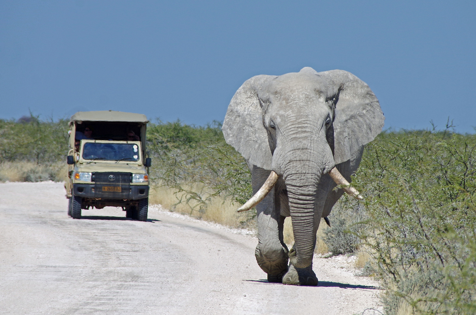 Elefantenstrasse -  Namibia Serie