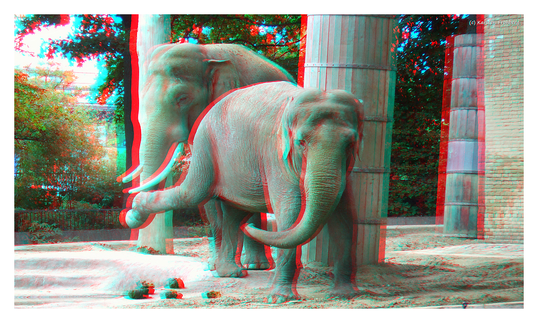 ,,Elefantentanz'' in 3D (Rot/Cyan)