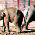Elefantentempel im Leipziger Zoo