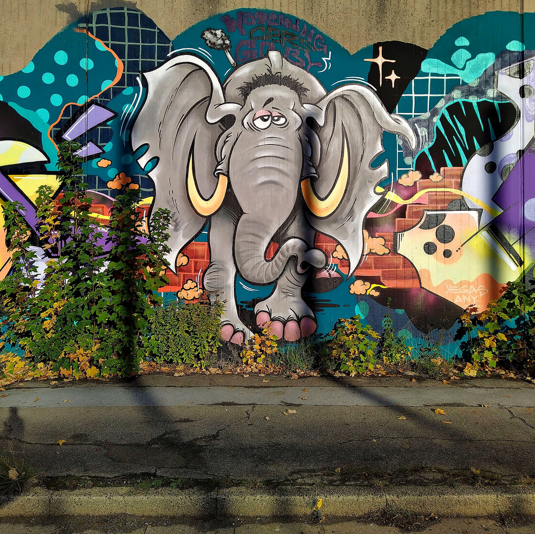 Elefantisches Graffiti...