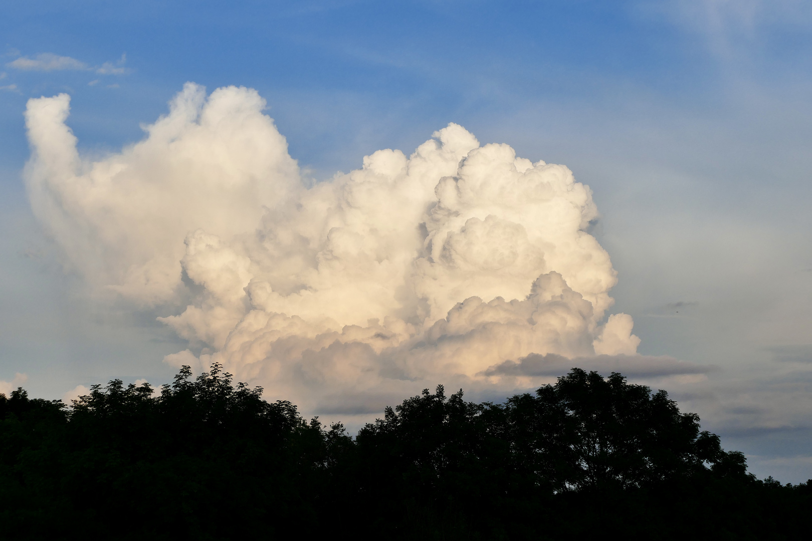 Elefantöse Wolke