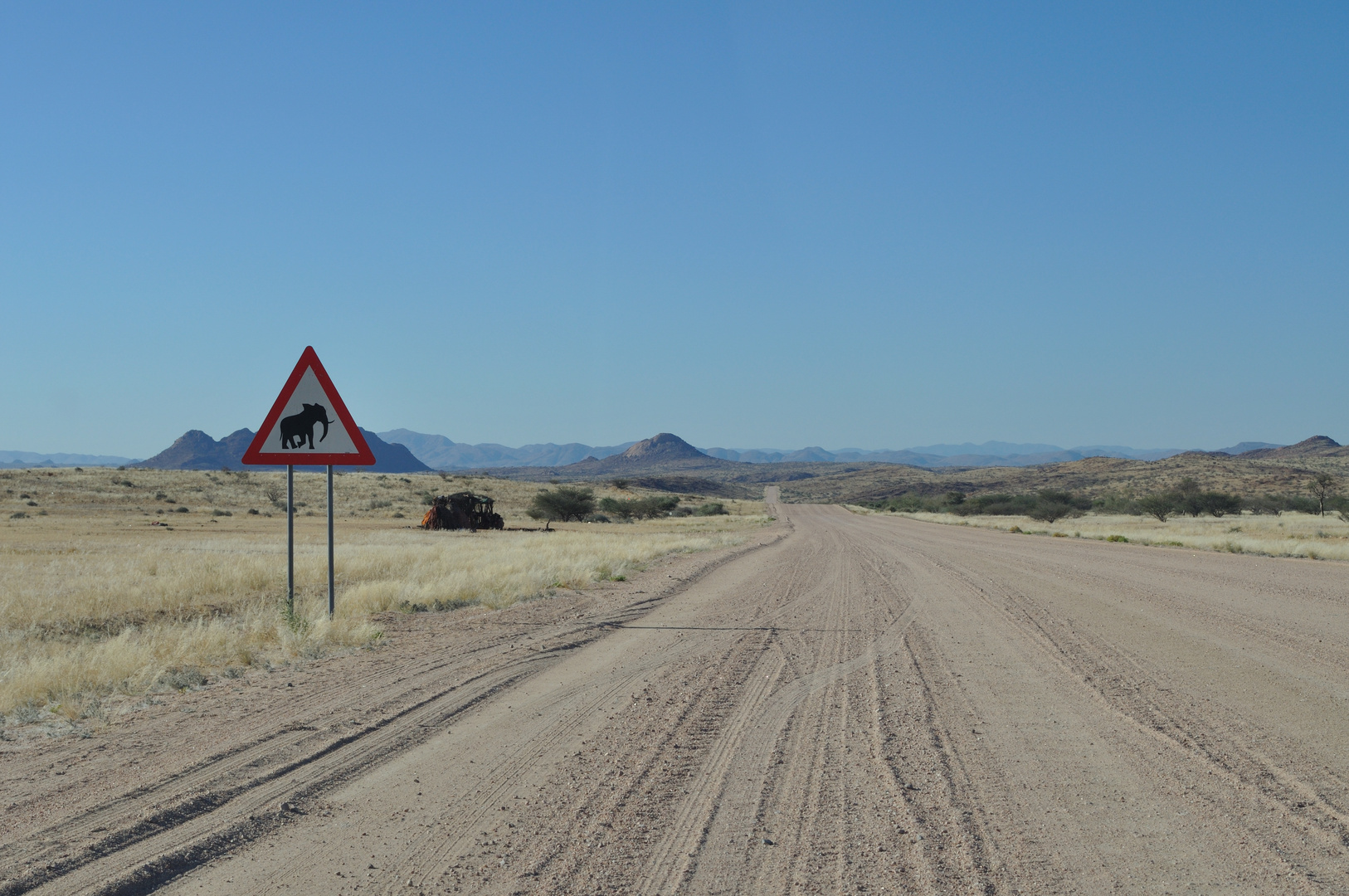 Elefants crossing