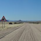 Elefants crossing