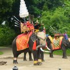 Elefantsshow in Samut Prakan