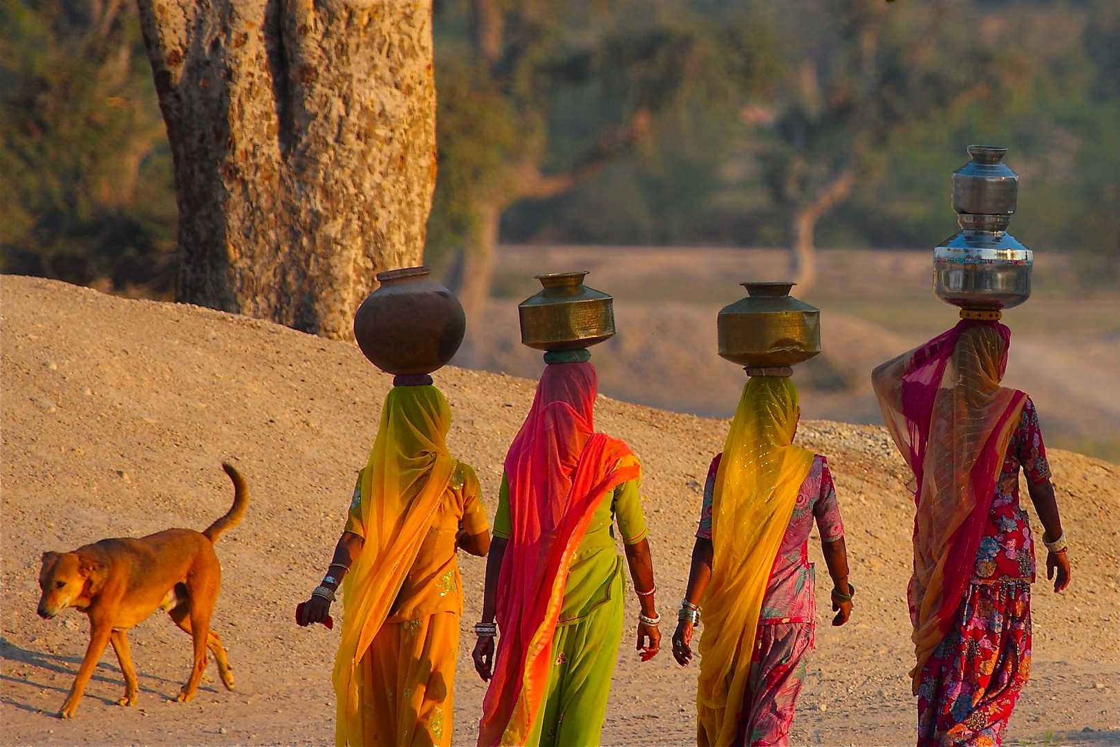 Elégance des villageoises du Rajasthan.