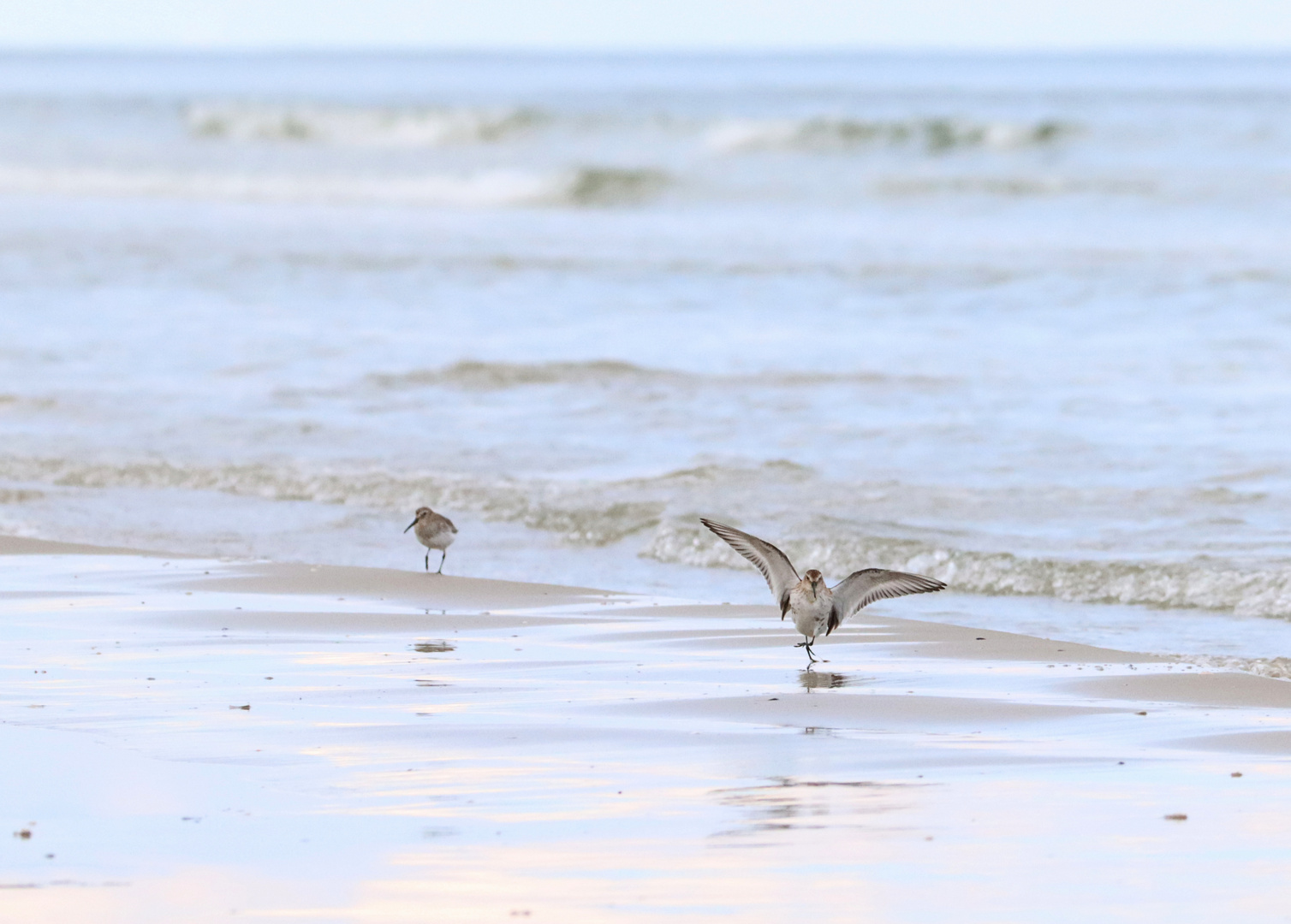 Elegant am Strand