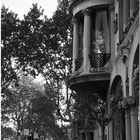 Elegant Passeig de Gràcia