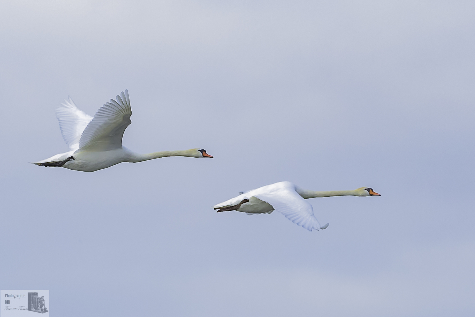 Elegant und zielstrebig 