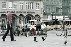 elegante-tauben-beine