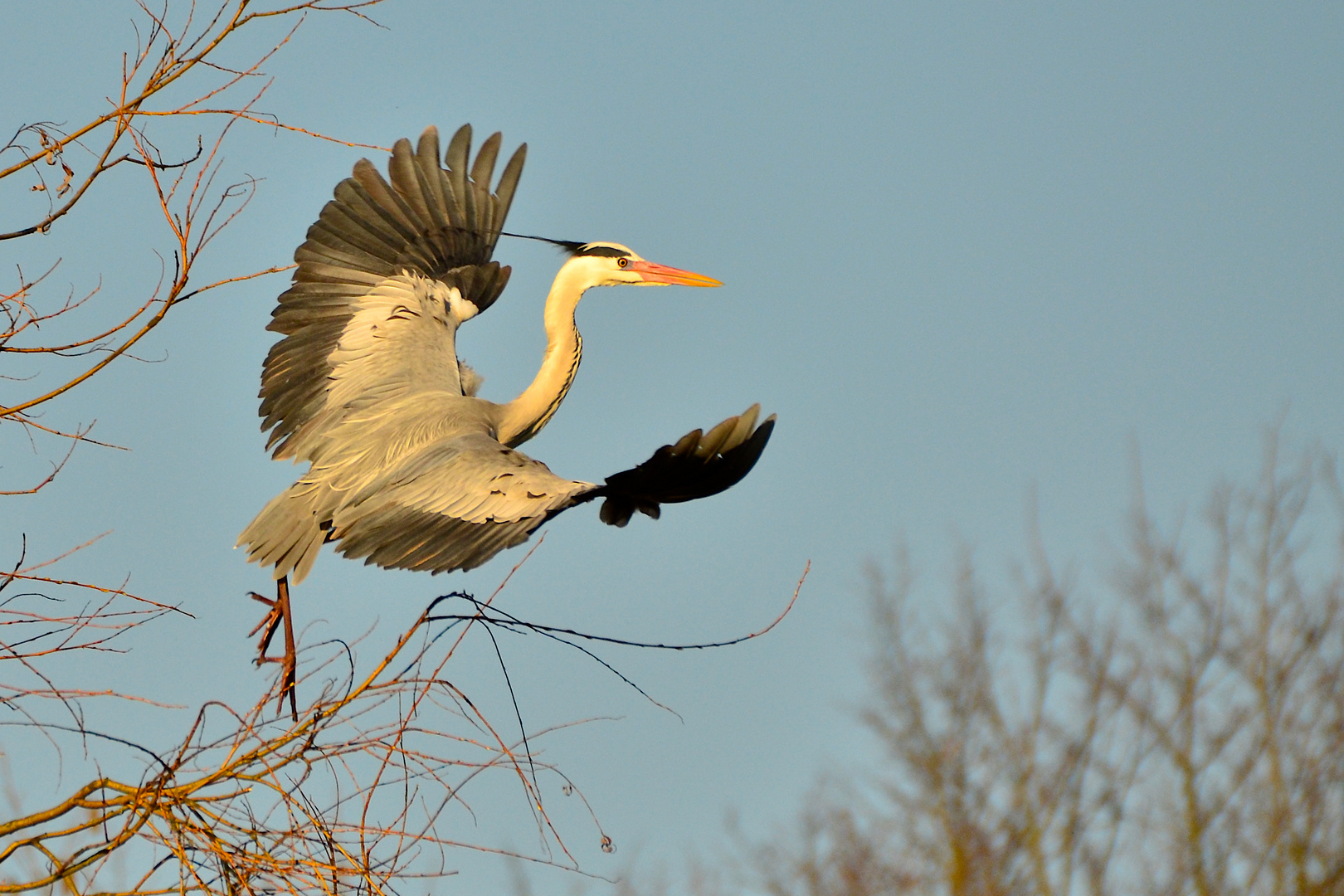 ELEGANTER ABFLUG