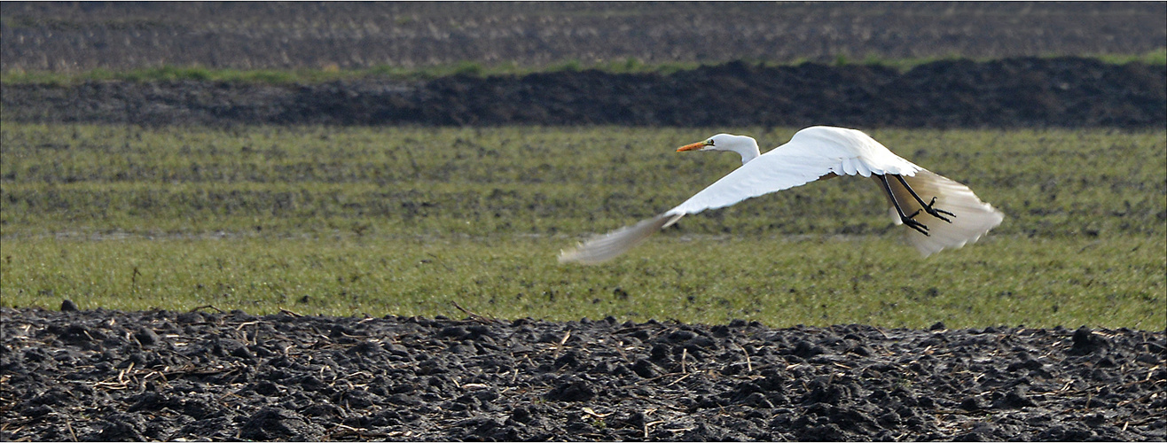 ...eleganter abflug...