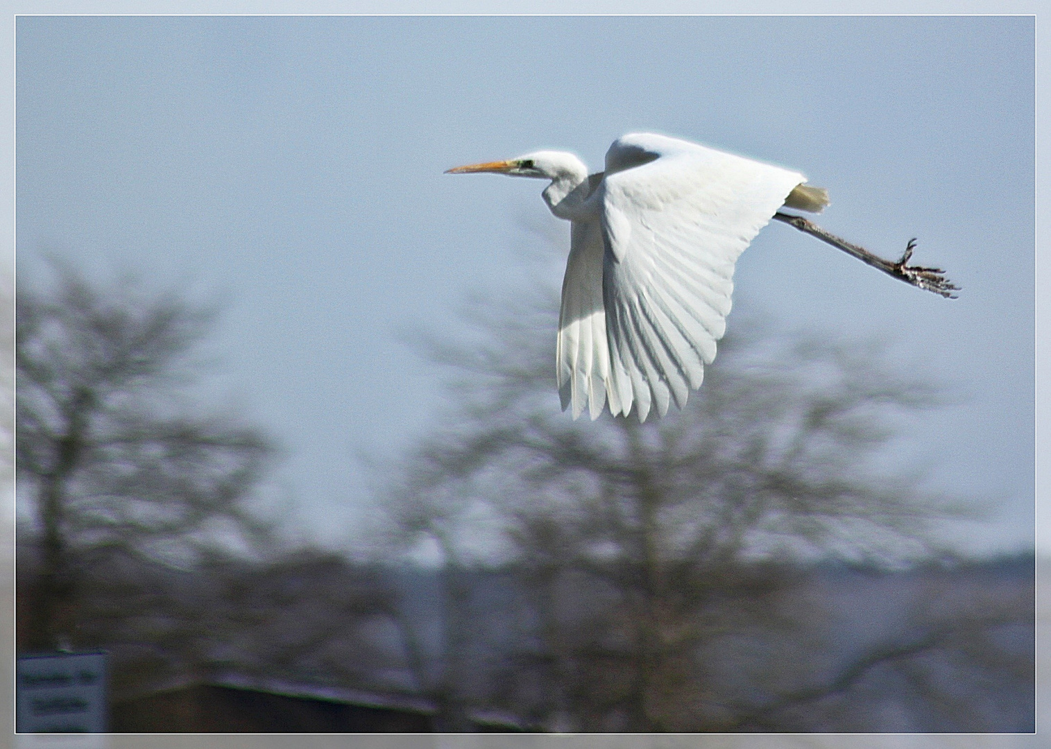 Eleganter Vorbeiflug