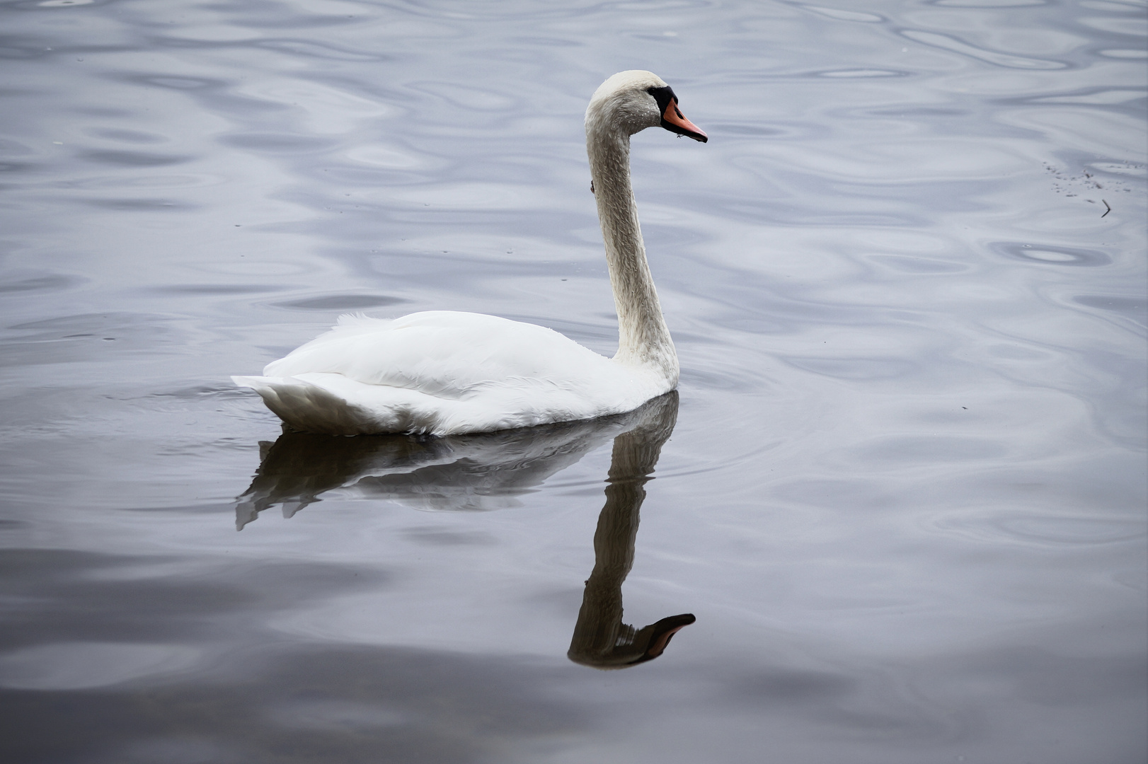 Elegantes Spiegeln