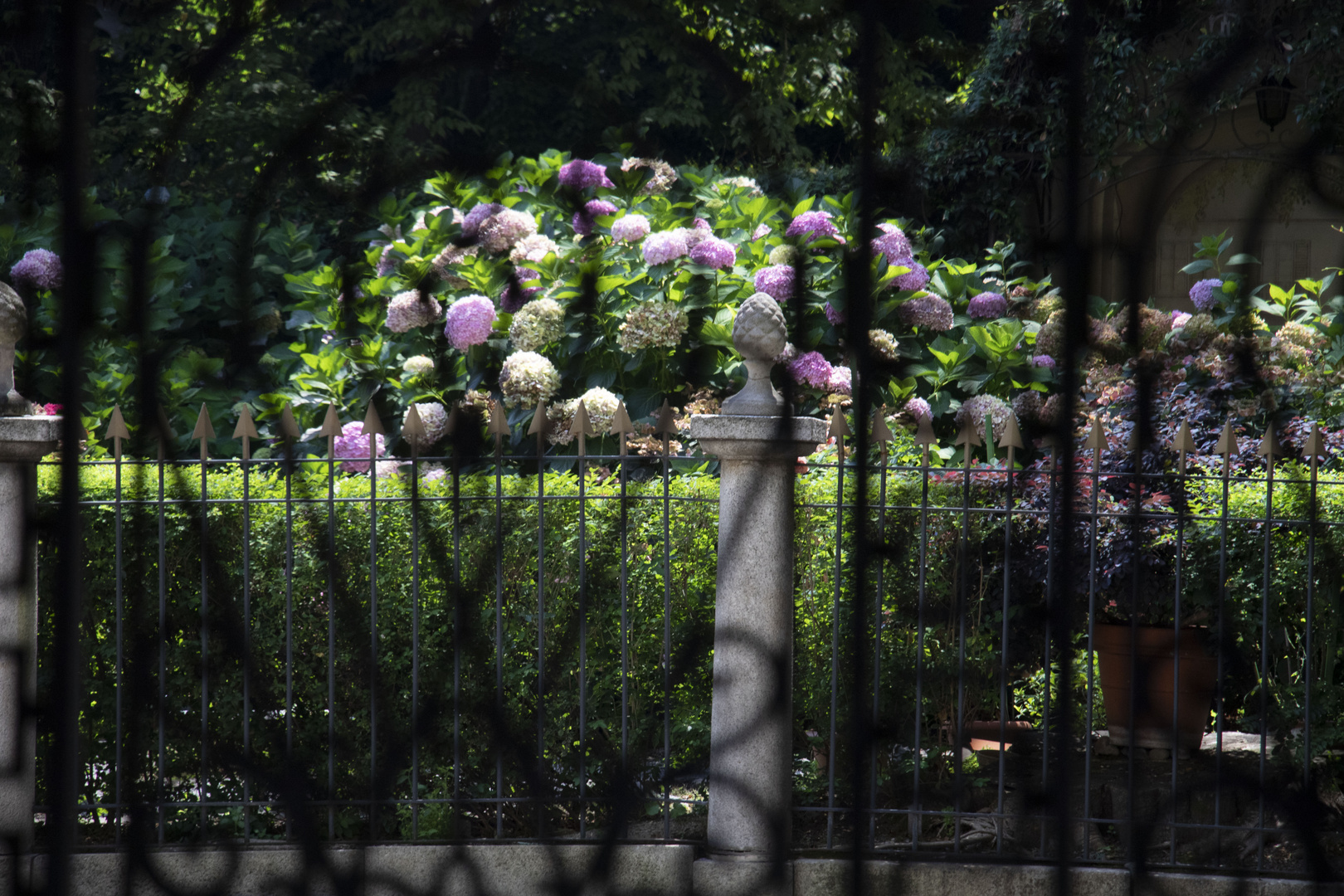 Eleganti giardini nascosti a Milano