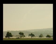 ...elegisch- verträumter Nebelmorgen am Solling...