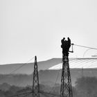 Elektriker bei der Arbeit   23.04.2020 (73) -1