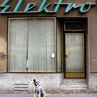 elektro