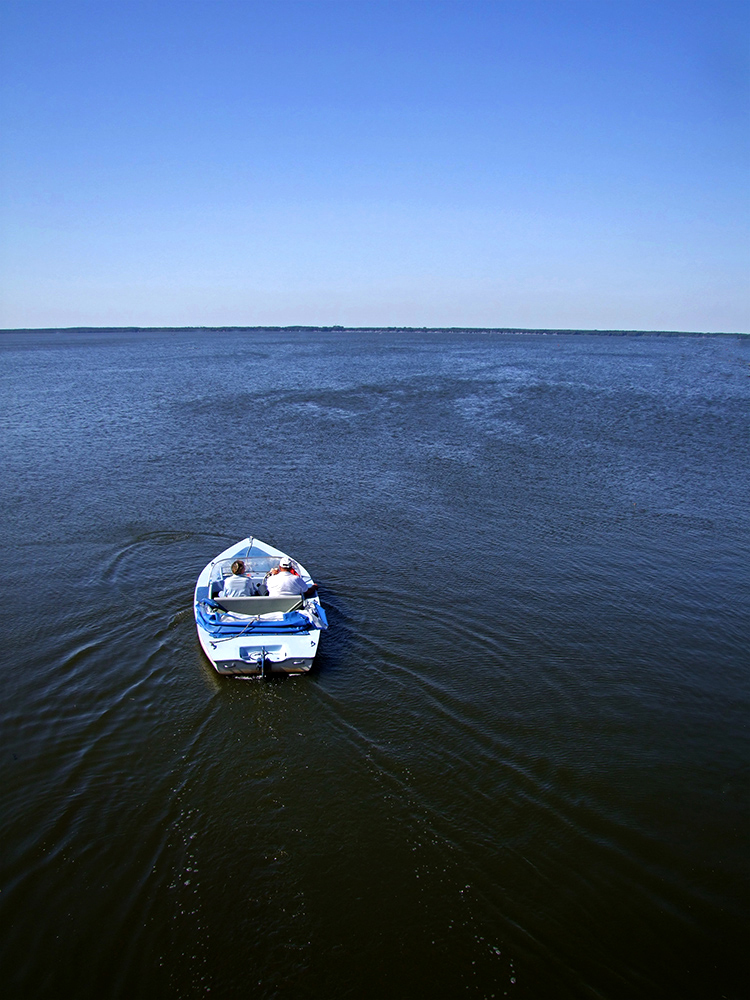 Elektroboot am Steinhuder Meer II