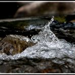 ELEMENT WASSER