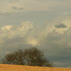 ELEMENTOS: CIELO Y TIERRA