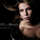 Elements of Beauty