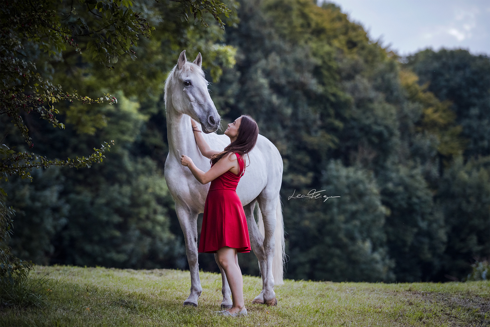 Elena und Charly II