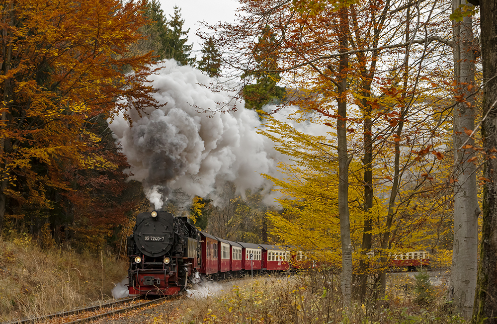 Elend im Herbst