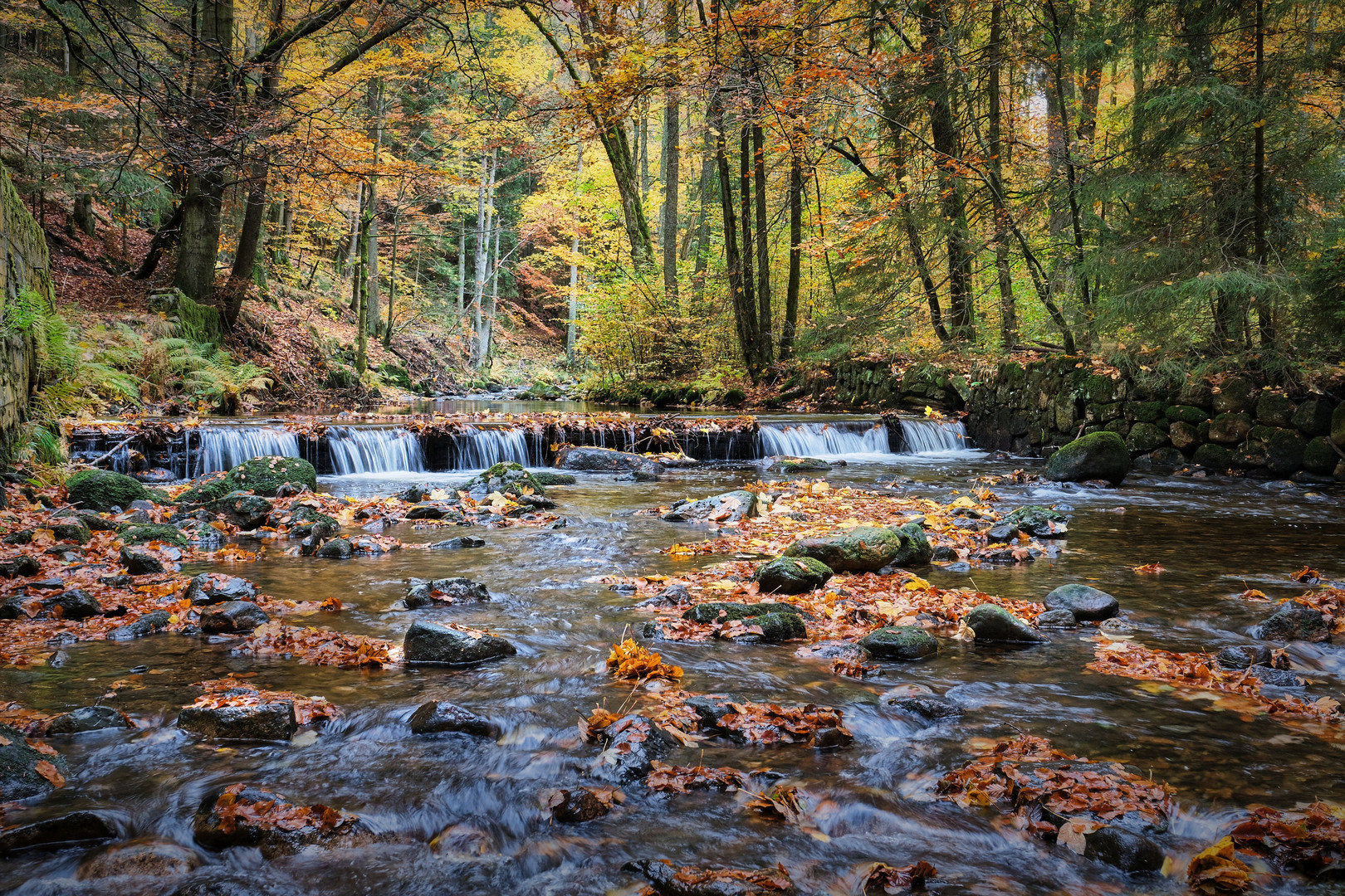 Elendstal | Harz