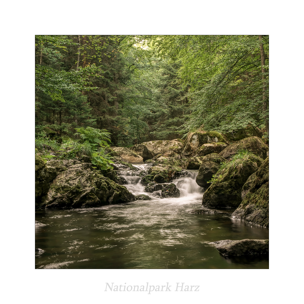 Elendstal / Harz " so schön und Wild ist unser Harzer Land****...."