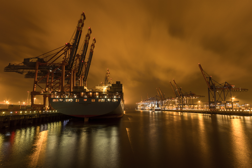 Eleonora Maersk in Waltershof