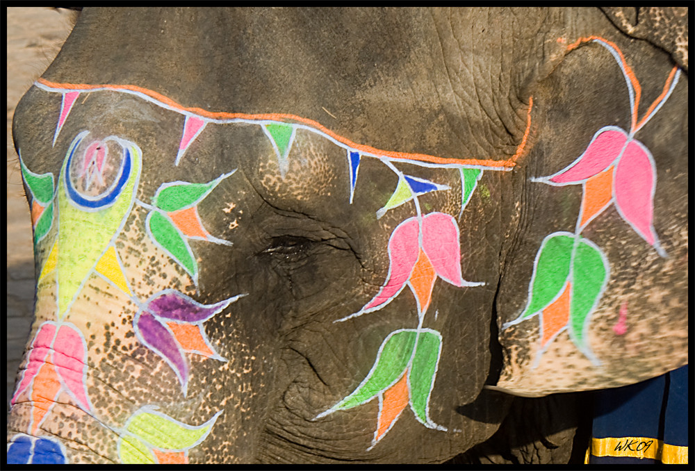 Elephant at Fort Amber