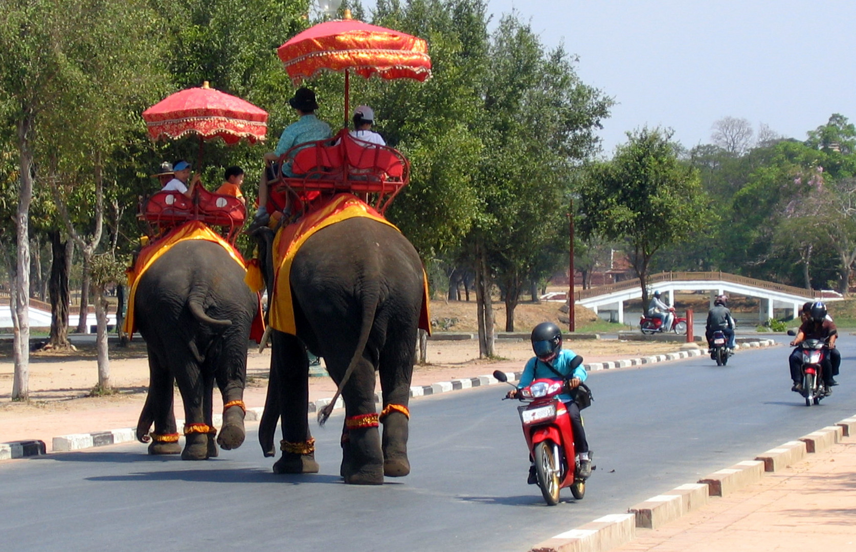 elephant crossing...