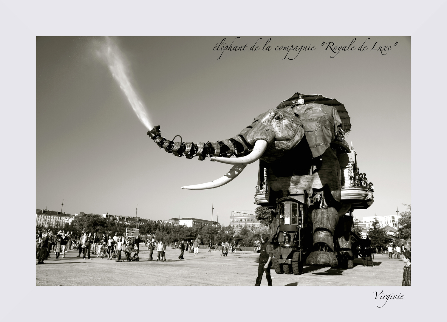 éléphant de la compagnie royal de luxe