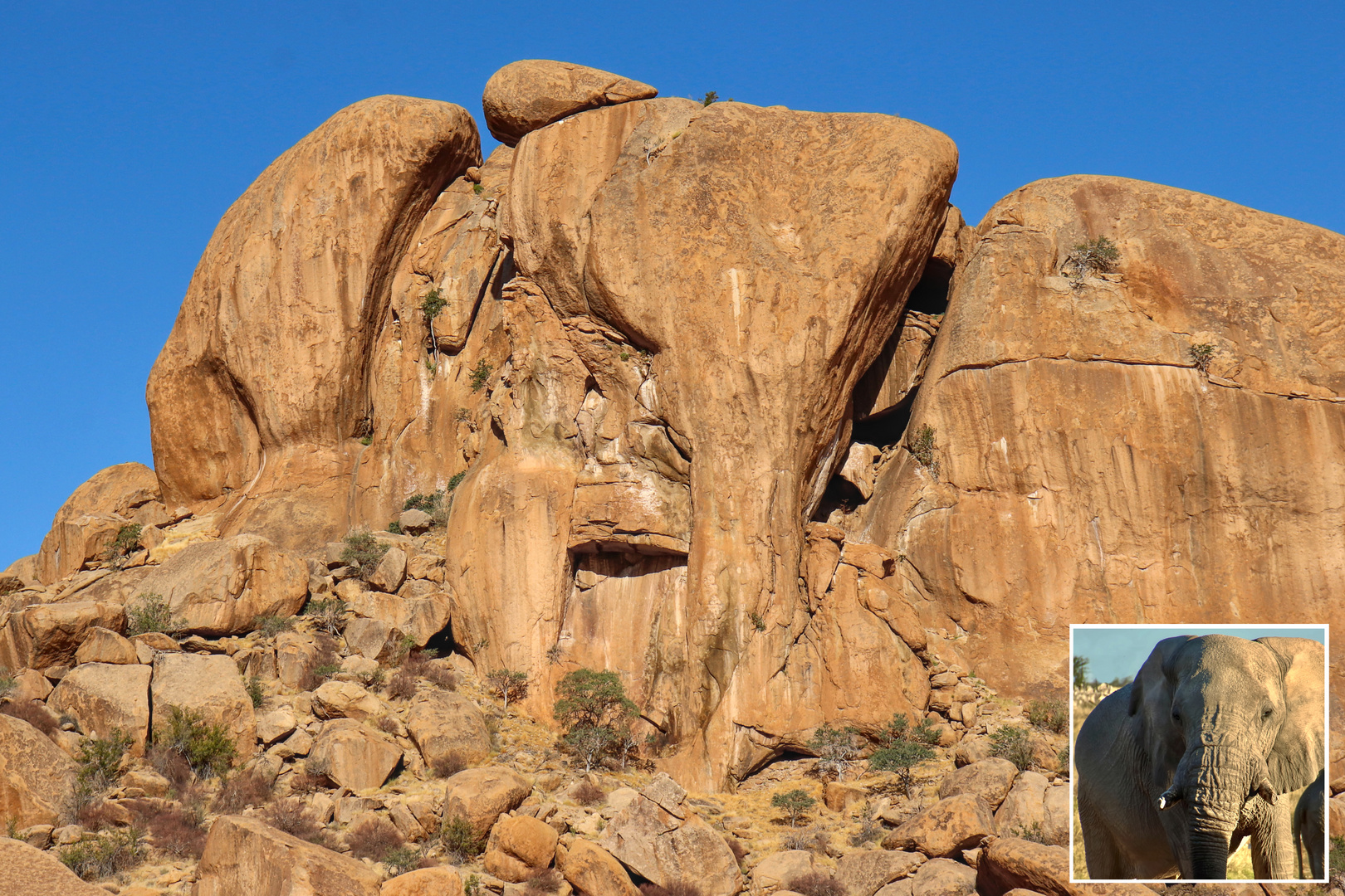 Elephant Head oder auch Rock