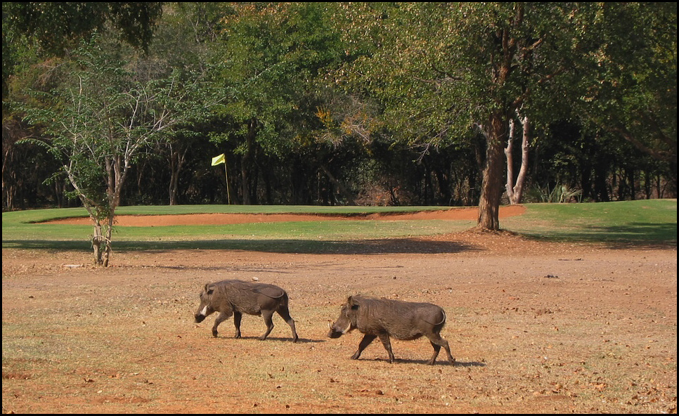 Elephant Hills Golf Course