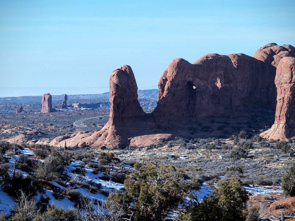 Elephant im Arches NP 