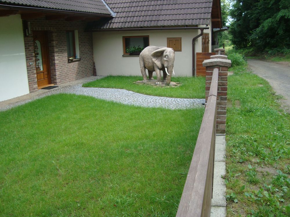 Elephant in a garden