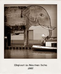 Elephant in ....