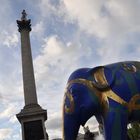 Elephant in London