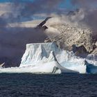 Elephant Island