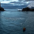 Elephant Island