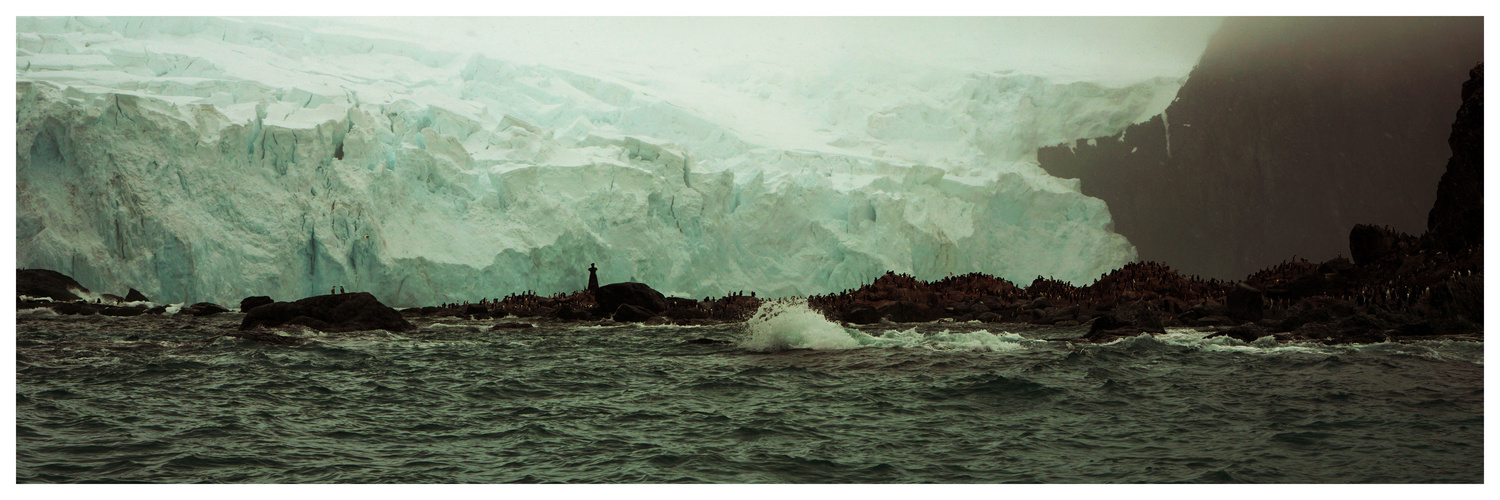 Elephant Island