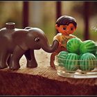 Elephant likes watermelons/L'elefante ama le angurie