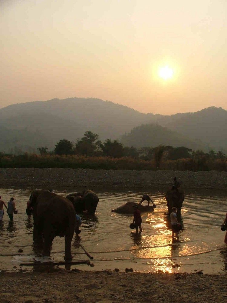 Elephant Nature Park, Nordthailand