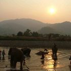 Elephant Nature Park, Nordthailand