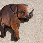 ..elephant on the wall..