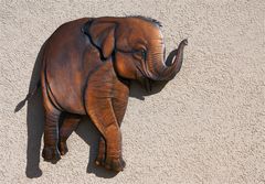 ..elephant on the wall..